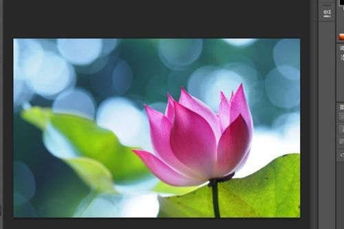 初学者ps抠图步骤ps抠图教程新手入门