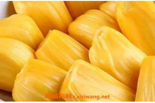 菠萝蜜怎么吃法