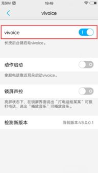 vivoice卖多少钱,想知道他的价格。