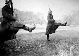 法西斯是哪几个国家?分别侵占哪些国家?