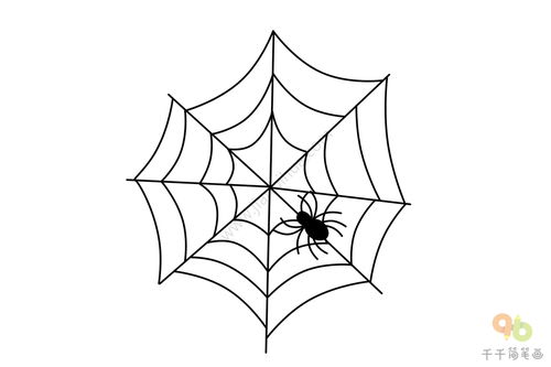 蜘蛛网简笔画_竞价网