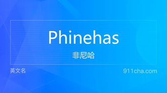"has"是什么意思?动词原形是什么?