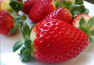 草莓的营养成分