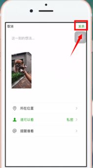 如何将抖音链接发到朋友圈- 问一问