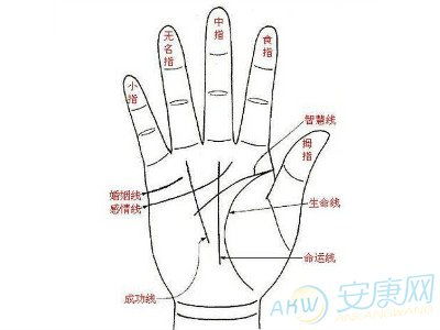 所以从手相看一个人的命运是存在一定道理的.