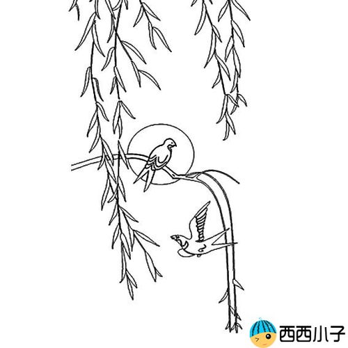 下垂的柳树枝条简笔画图片