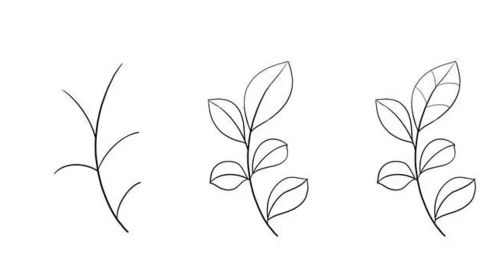 简笔画怎么画花草树木?