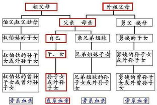 直系姻亲指配偶的直系血亲以及直系血亲的