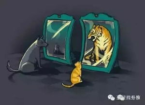 幸存者偏差通俗解释是什么?