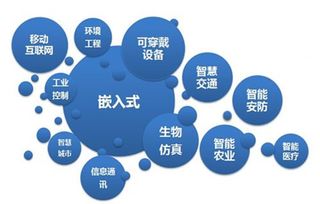 嵌入式培养 什么意思
