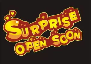 惊喜英文(惊喜英文怎么写surprise)_竞价网