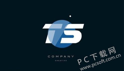 ts是什么意思呢?