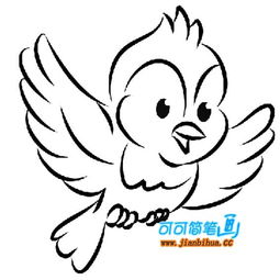 画小鸟画小鸟素描