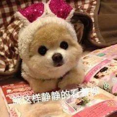 给女朋友安全感的话