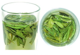 六安瓜片是什么茶?