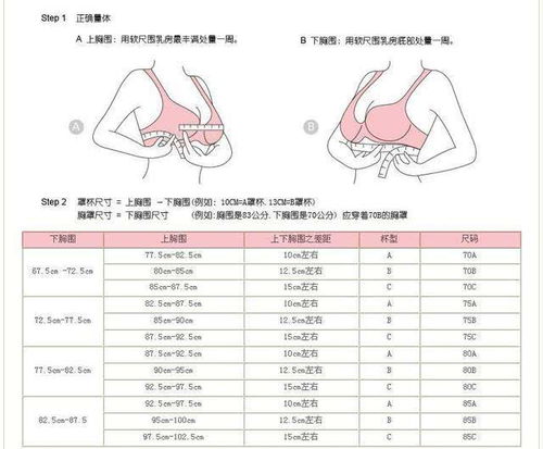 c罩杯有多大物体比喻罩杯的比喻