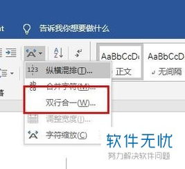 word如何双行合一