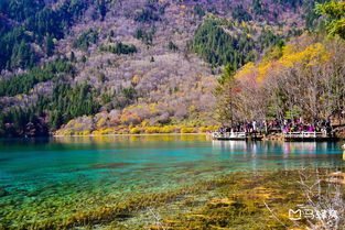 十一月适合去哪里旅游