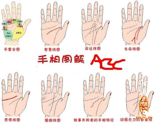 怎么看掌纹图解 手相