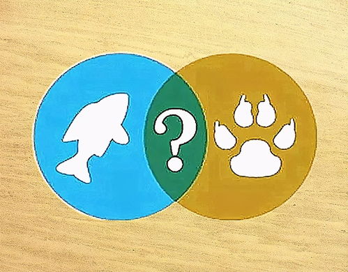 鱼与熊掌不可兼得鱼与熊掌不可兼得是什么意思