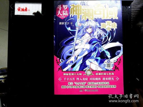 神澜奇域圣耀珠为什么看不了