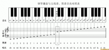 请问如何看五线谱的调?