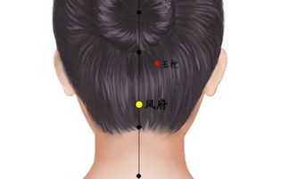 风池穴在什么位置?有什么作用?