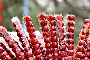 老北京冰糖葫芦的做法