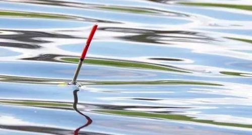 漂浮和飘浮怎样区分漂浮和悬浮怎样区分