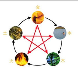 尔字五行属什么?