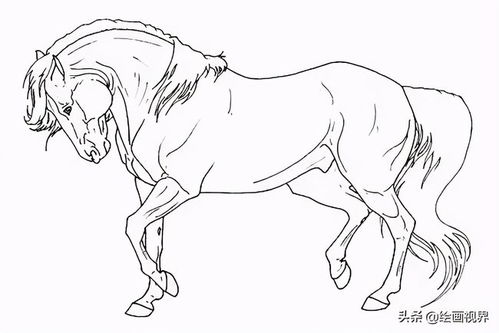 马怎么画马怎么画又简单又帅气