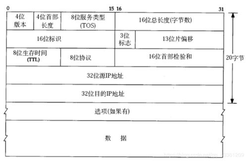 网络层协议有哪些?