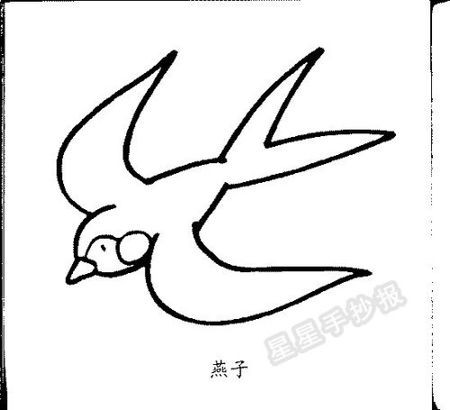燕子的简笔画图片,还有燕子身上的黑白颜色