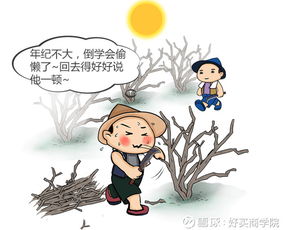 磨刀不误砍柴工的意思是什么