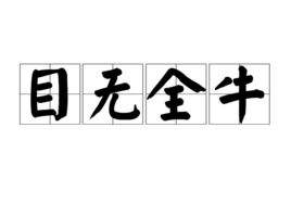 目无全牛的意思