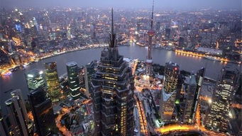 上海市区面积是多少?