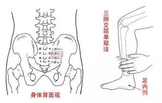 三阴交穴位的具体位置在哪里?