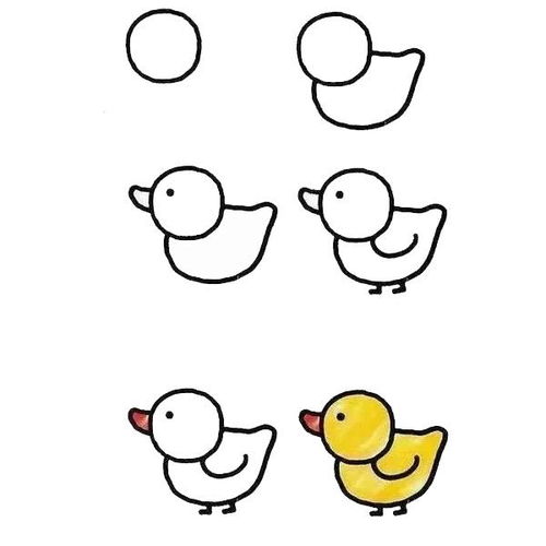 鸭子最简单的简笔画图片