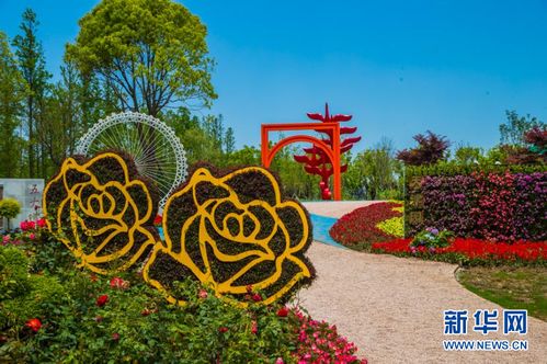 中国花卉博览会几年举行一次