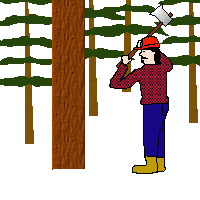 ppt里面怎么放动图