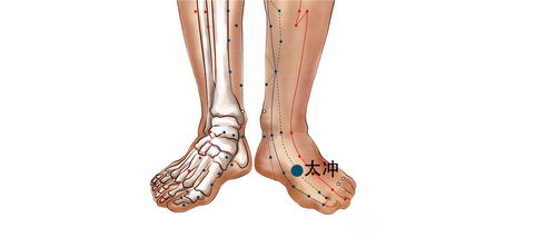 风池穴的位置。。