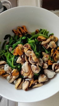 海虹的做法都有哪些?哪些做法老少皆宜?