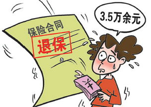 交了一年保险费用后想退保,可以退到多少钱呢?