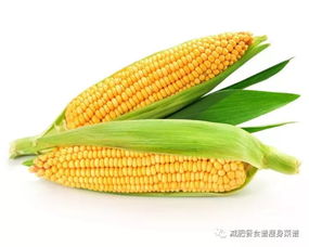 五彩粘玉米的营养价值