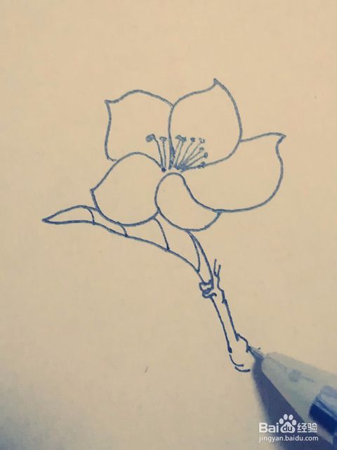 种子,花苞,柳条,春雨,小草,桃花,山峰,小草,蝴蝶,简笔画