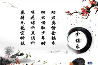 有哪些古诗词(20首)超简单