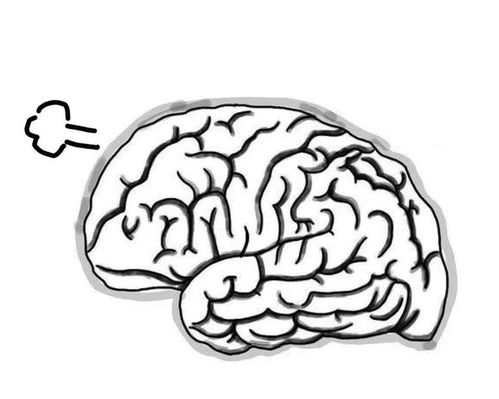 脑子的简笔画