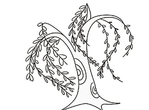 柳树简笔画怎么画