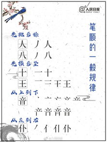 木和节在一起怎么读
