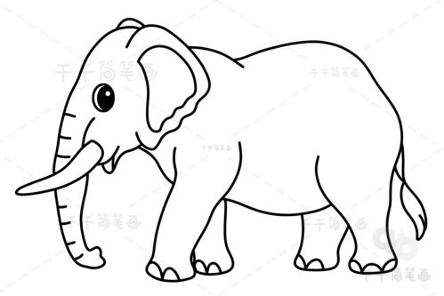 大象画法一步一步的画图片